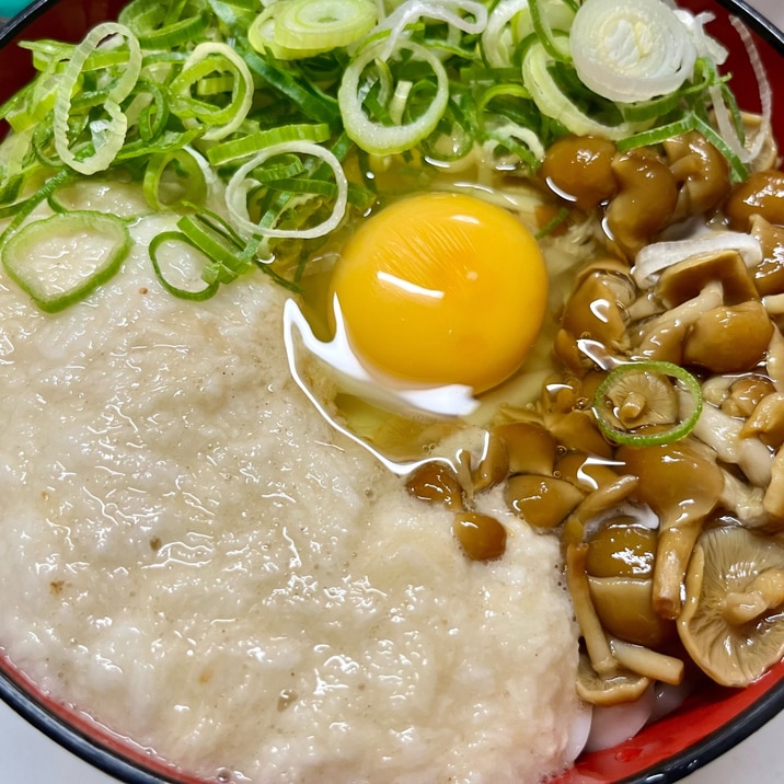 健康!とろろとなめこのねばねばうどん